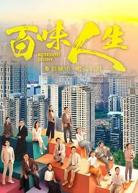 雾港谜航 悬疑剧在线观看